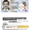 USA New York driving license template in PSD format scan effect