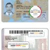 USA New York state ID template in PSD format, fully editable