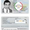 Ukraine ID template in PSD format, full editable