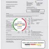 Germany EWE utility bill template, fully editable in PSD format