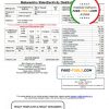 India Mahavitaran Co Ltd utility bill template in Word and PDF format