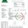 Iraq AlRasikh electricity utility bill template in Word and PDF format