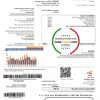 Israel Electric Corporation utility bill template in Word and PDF format (.doc and .pdf)