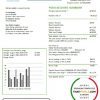Israel Green Energy Association of Israel utility bill template in Word and PDF format (doc)
