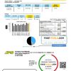 Jamaica Public Service Company Limited (JPS) electricity utility bill template in Word and PDF format