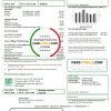 Japan S-Energy Japan Co. Ltd. Tokyo Branch utility bill template in Word and PDF format