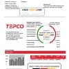 Japan Tokyo Electric Power Company (TEPCO) electricity utility bill template in Word and PDF format