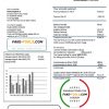 Kazakhstan Yokogawa Electric Kazakhstan utility bill template in Word and PDF format (.doc and .pdf)