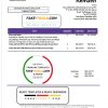 Kenya KenGen Electricity Generating Company utility bill template in Word and PDF format