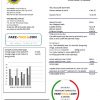 Laos Electricite du Laos electricity utility bill template in Word and PDF format