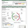 Lebanon Electricity of Lebanon utility bill template in Word and PDF format