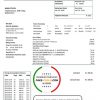Liechtenstein Ische Kraftwerke (LKW) electricity utility bill template in Word and PDF format