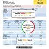 Malaysia Tenaga Nasional electricity utility bill template in Word and PDF format
