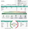 Mexico Federal Electricity Commission (CFE) utility bill template in Word and PDF format, fully editable