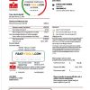 Monaco SMEG electricity utility bill template in Word and PDF format