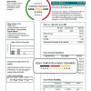 Mongolia Energy Corporation (MEC) electricity utility bill template in Word and PDF format
