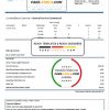 Montenegro Elektroprivreda Crne Gore (EPCG) electricity utility bill template in Word and PDF format