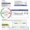 Nicaragua Nicaraguan Electricity Company ENEL electricity utility bill template in Word and PDF format