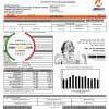 Philippines Meralco electricity utility bill template in Word and PDF format