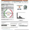 Philippines Meralco electricity utility bill template in Word and PDF format, version 2