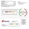 Senegal Senelec Agence Sacré Coeur Company electricity utility bill template in Word and PDF format