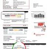 Spain E.ON electricity utility bill template in Word and PDF format
