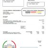Spain Renfe utility bill template in Word and PDF format