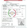 Switzerland Vitogaz Switzerland AG utility bill template, fully editable in Word and PDF format