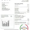 Thailand JERA power utility bill template in Word and PDF format