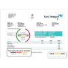 Turkey Turktelekom utility bill template in Word and PDF format, fully editable