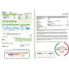 USA Ameren Missouri electricity utility bill template in Word and PDF format (2 pages)