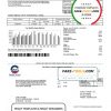 USA Arizona Chandler Utilities bill template in Word and PDF format