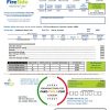 USA California’s FireSide natural gas utility bill template in Word and PDF format