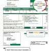 USA Coles – Moultrie utility bill template in Word and PDF format