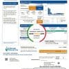 USA Colorado Natural Gas utility bill template in Word and PDF format
