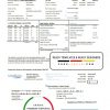USA Columbia Gas of Ohio utility bill template in Word and PDF format
