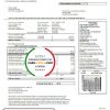 USA Connecticut The United Illuminating Company electricity utility bill template in Word and PDF format