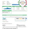 USA Consolidated Mutual Water utility bill template in Word and PDF format