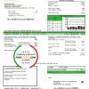 USA Delaware Electric Co-op utility bill template in Word and PDF format