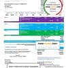 USA EID utility bill template in Word and PDF format