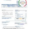 USA Florida FGUA utility bill template in Word and PDF format