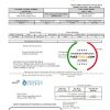 USA Florida Pensacola Energy utility bill template in Word and PDF format