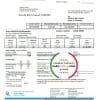 USA Florida Power & Light Company (FPL) electricity utility bill template in Word and PDF format