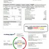 USA Florida Public Utilities utility bill template in Word and PDF format