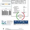 USA Florida Toho Water Authority utility bill template in Word and PDF format