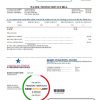 USA Georgia American Water utility bill template in Word and PDF format