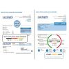 USA Georgia JACKSON EMC utility bill template in Word and PDF format 2 pages)