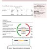 USA Georgia Power utility bill template in Word and PDF format, fully editable