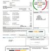 USA Illinois North Shore Gas utility bill template in Word and PDF format