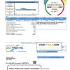 USA Indiana SCI REMC utility bill template in Word and PDF format